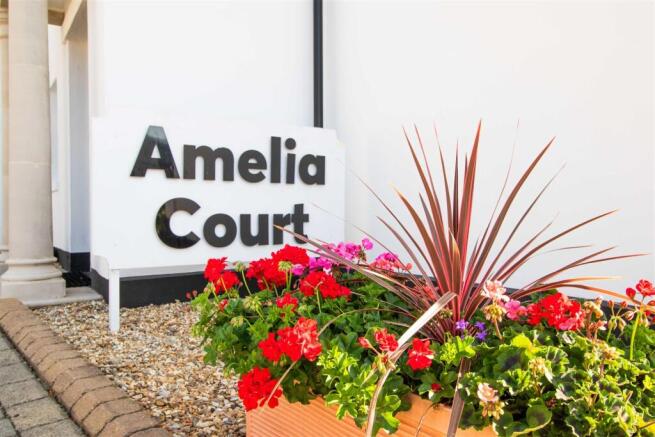 amelia-10.jpg