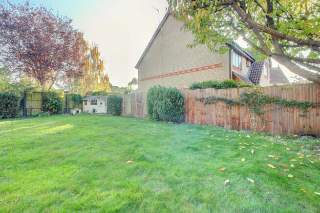 Photo 31