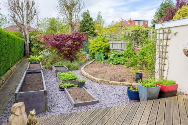 Garden at Back