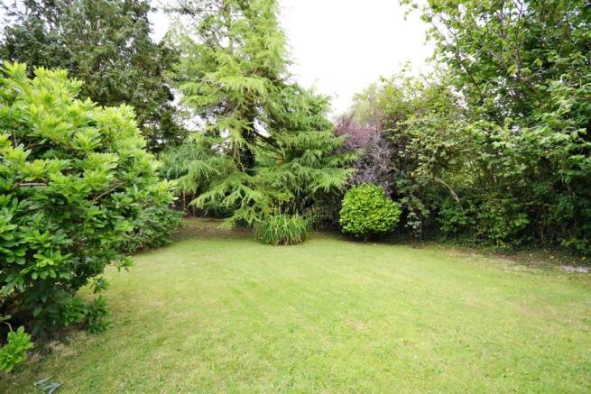 Garden 2