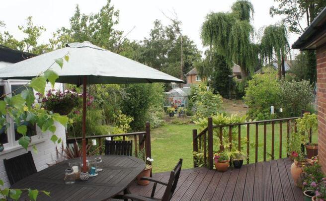 Garden from Decking