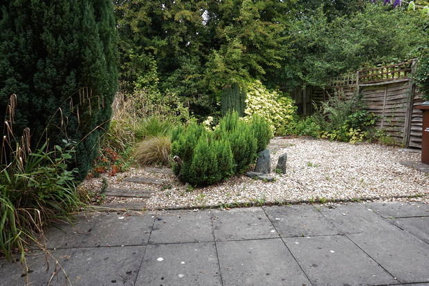 Photo 8