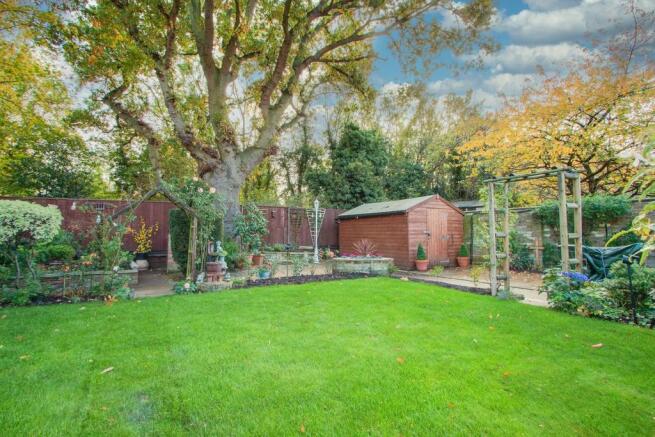 Back Garden 1