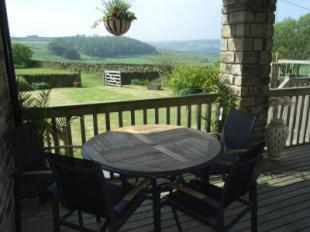 Decking/Patio Area