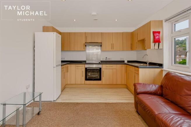 Kitchen/Living Area