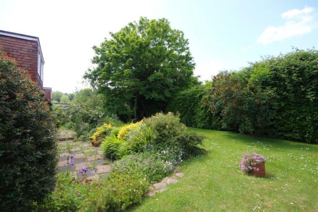 garden 3.JPG