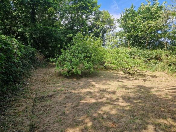 Garden plot 2.jpeg