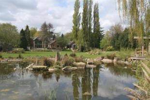 House & Gardens
