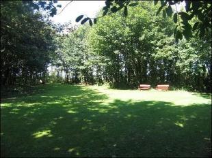Grounds