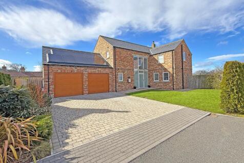 Marton Meadow, Marton Le Moor, HG4