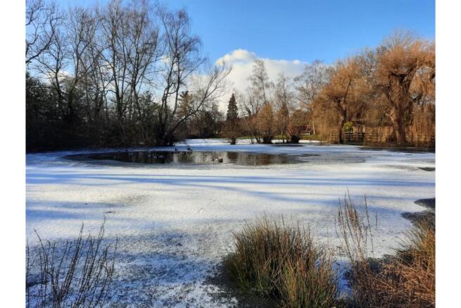 Pond