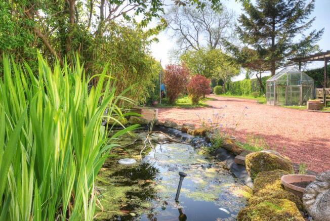 garden