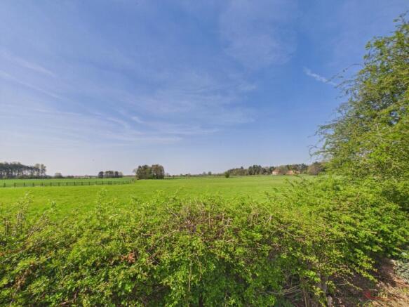 3 bed Detached Bungalow for sale Image 5