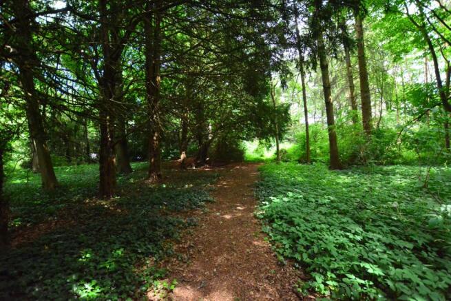 Woodland