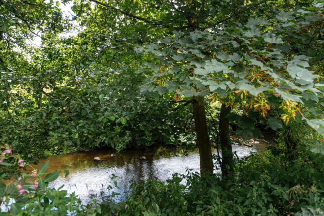 Photo 35