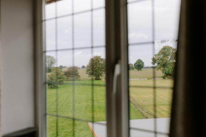 Window with a View