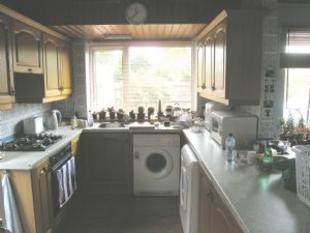Cattan Green Kitchen