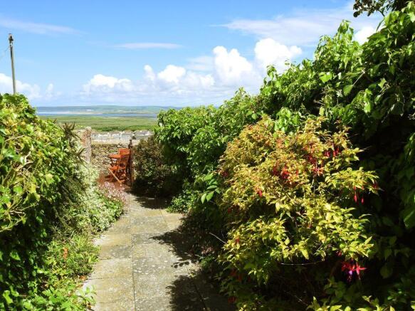 Garden at Back