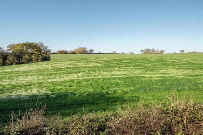 Field View.jpg