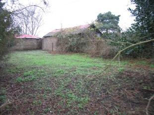 Side Garden