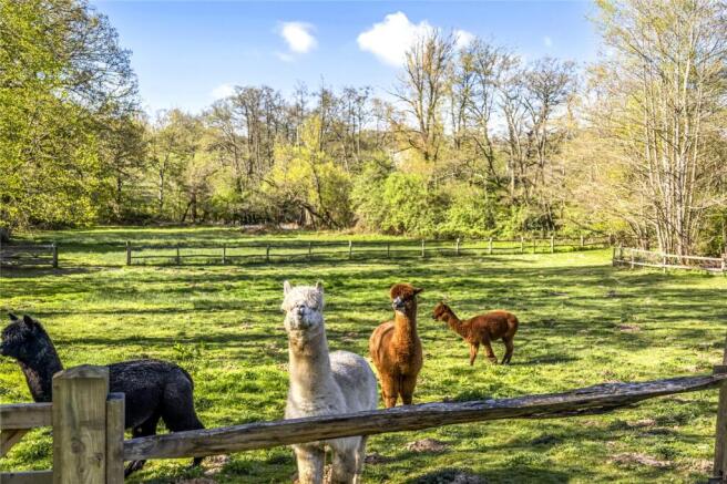 Paddocks