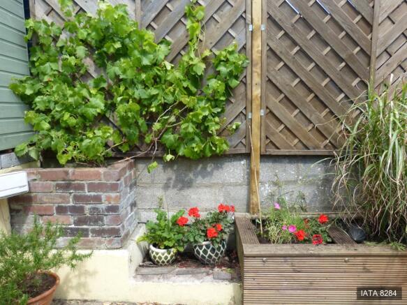 Photo 10