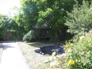 Pond