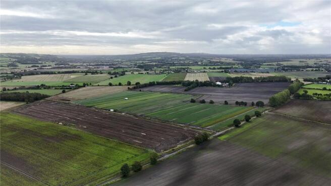 Aerial Image