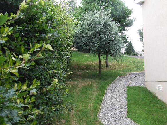 Side Garden/Pathway