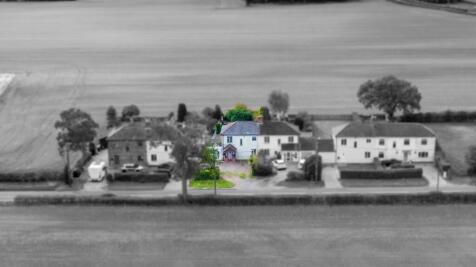 Lynn Lane, Lynn