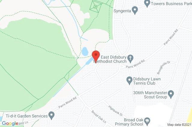 Google Maps Image