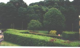Outlook from front