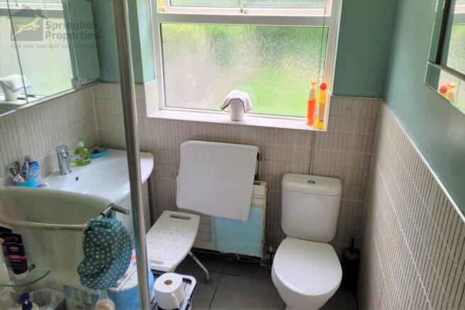 IMAGE 5