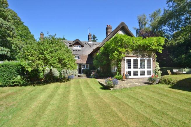 Rear garden 2
