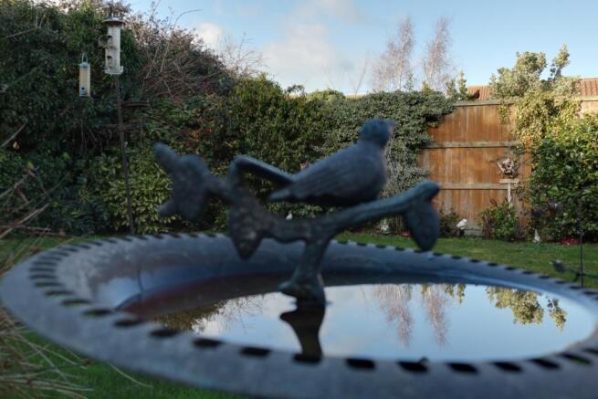 'Birdbath'