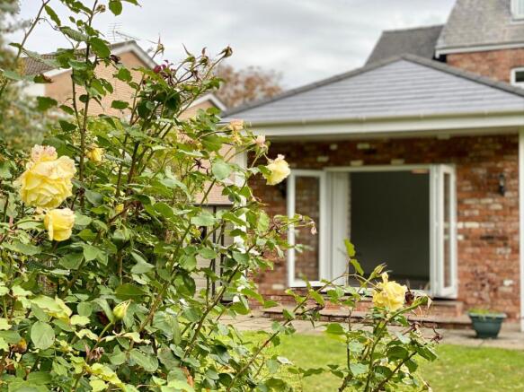 Halsall Ln - garden