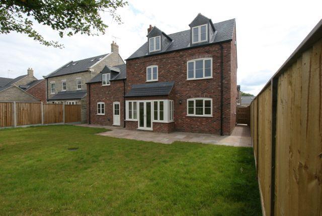 Back Garden