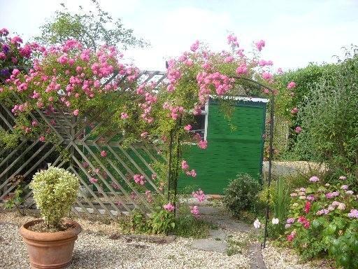 ONE OF THE SHEDS
