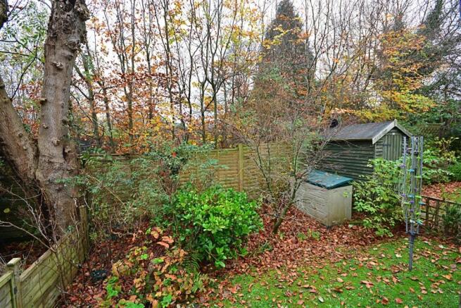 a garden.jpg