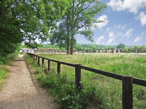 Bridle Path Shot