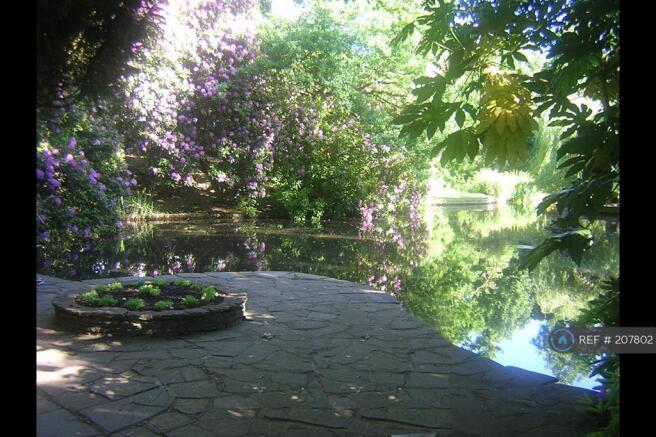 Communal Garden