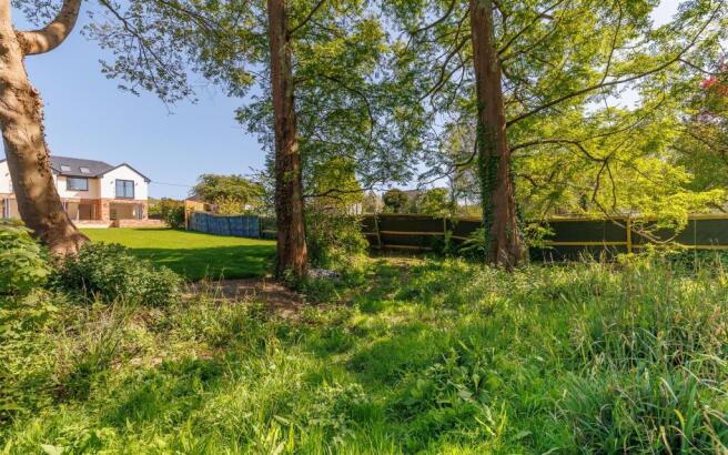 Woodland Garden
