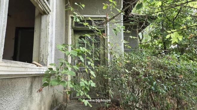Close-up of an old wooden door and window with dense plants growing around