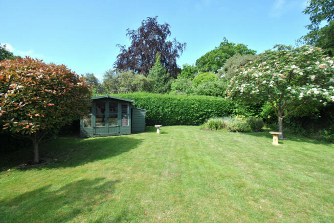 Photo 15