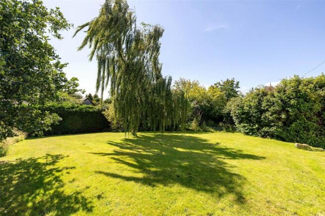 Mature Garden