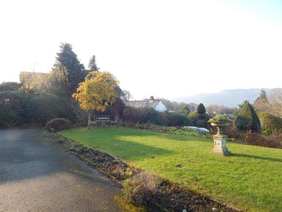 Garden 3.JPG