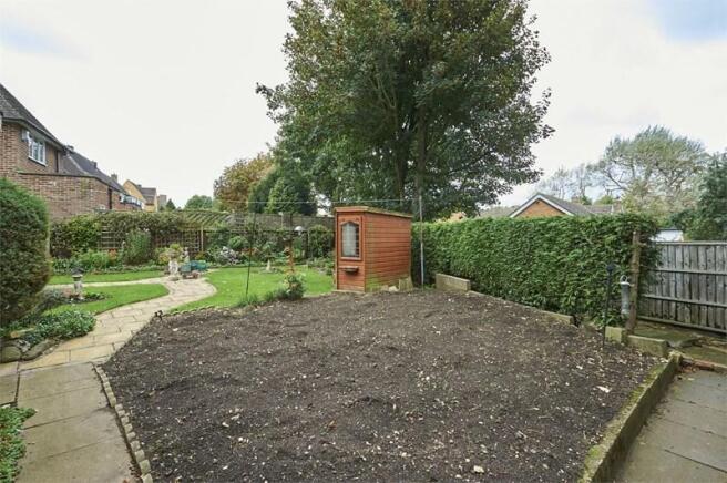 photo18