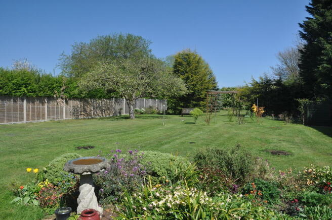 Photo 23