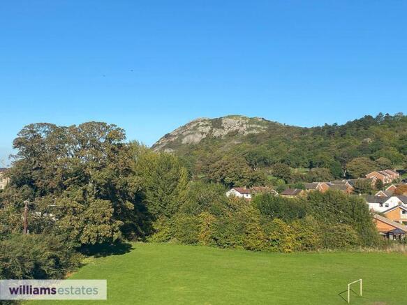 Hillside View