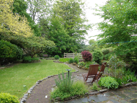 The Garden